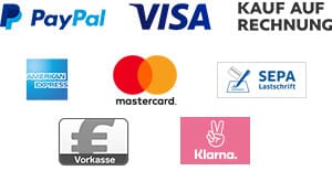 Logos der Zahlungsmöglichkeiten PayPal, Kreditkarte, KAuf auf Rechnung und SEPA-Lastschrift